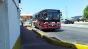 Guaireños piden que saquen los buses rojos