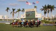 Potro de $1.3 millones que generó gran expectativa pierde de forma increíble en su primer intento en Gulfstream Park