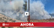 Declaran Alerta Roja para La Serena por incendio forestal y Senapred ordena evacuar un sector