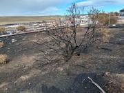 Suministro residencial de gas estaría totalmente cubierto, pero GNC continúa suspendido