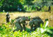 Informe de Unodc alerta sobre capacidad de producción de hasta 143 t de cocaína en Bolivia