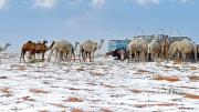EN VIDEO: Espectacular nevada cayó inesperadamente en el desierto de Arabia Saudita tras tormenta invernal