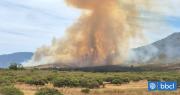 Declaran Alerta Roja en La Ligua y Zapallar por incendio forestal: piden evacuar sector La Foresta