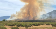 Autoridades emiten alera roja por incendio forestal en Zapallar con más de 100 hectáreas afectadas