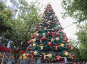 Navidad en la Ciudad de Mendoza: las propuestas para grandes y chicos
