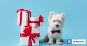 No es un objeto ni juguete de temporada: campaña llama a no regalar mascotas esta Navidad