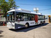 Chau gasoil: los primeros colectivos chinos a GNC que empezarán a circular en dos líneas porteñas y qué dice la ley para renovarlos