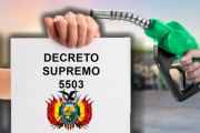 El DS 5503: un primer paso para salir de la crisis