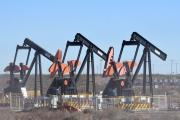 Con Vaca Muerta estable, noviembre cerró con freno al auge en la producción de petróleo