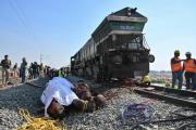 TRAGEDIA EN LA INDIA: Mueren siete elefantes arrollados por un tren