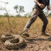Localizaron sin vida a sexagenario en Ocumare de la Costa