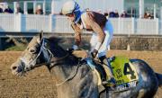 Post Time: Caballo del Año en Maryland es retirado a la cría luego de ganar el Robert Manfuso de $100.000 este fin de semana