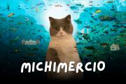 ¡Michimercio, al fondo del mar! Su amigo Flow le enseñó a nadar