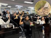 El Concejo Deliberante de Quilmes aprobó la ordenanza de los trapitos pese a los disturbios