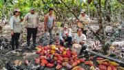 Ucayali: Comunidad nativa logra acuerdo comercial para vender toneladas de cacao de bosques conservados