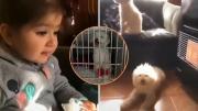 El delicado estado de perrita ‘Blanca’, protagonista del viral ‘Sácala porque se está quemando’: Familia pidió donaciones