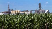 La producción de etanol sigue creciendo a la espera de una nueva ley del Congreso