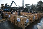 Triturarán y fundirán casi 11 mil materiales controlados en el RENAR