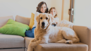 Cómo influyen los animales de compañía en la salud emocional durante las fiestas de fin de año
