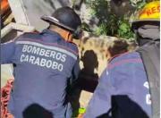 Mujer fue rescatada tras caer en la fosa de un cementerio en Naguanagua