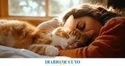 Dormir siesta sí, pero bien: tiempo ideal y mejor horario