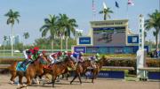 ¡Tiembla tierra! El futuro de las carreras en Gulfstream no está garantizado