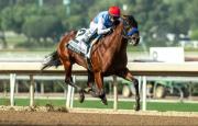 El costoso Barnes hará su reaparecida en el opening day de Santa Anita Park