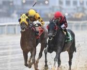 ¡Choques de trenes! Doc Sullivan y Bank Frenzy renovará su rivalidad por quinta vez en la Alex M. Robb de $125,000