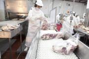 Carne vacuna: cayó el volumen de exportación y se dispararon las importaciones en noviembre