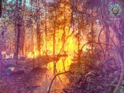 Tipnis: policía muere cuando se desplazaba para asistir a Umopar en una intervención