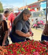 Feria agrícola navideña impulsó producción local en la plaza de Guacara