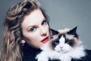 Taylor Swift se une a la batalla contra el hambre y hace una millonaria donación