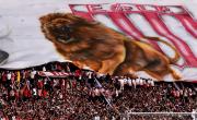 Estudiantes busca rival para otra Noche del León