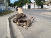 Habitantes venden leña para rebuscarse en estas navidades