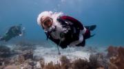 VIRAL: Santa sorprende al sumergirse en las aguas cristalinas de los cayos de Florida, así dejó el trineo por el buceo