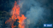 Declaran Alerta Roja para la comuna de San Nicolás, Región de Ñuble, por incendio forestal