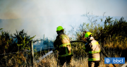 Cancelan Alerta Roja en Litueche por incendio forestal: Más de 800 personas debieron evacuar