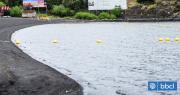 Playa Grande de Pucón está con bandera roja por altos niveles de microcistinas tóxicas