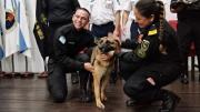 Guardianes de cuatro patas en Tucumán: la División Canes de la Policía celebró los 50 años de servicio y compromiso
