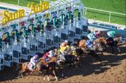 Duelo Épico: Once potras se enfrentan por $300,000 en La Brea (G1) este domingo en Santa Anita Park