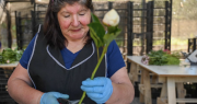 Más que cobre: La industria de las flores y el empuje regional lideran el crecimiento