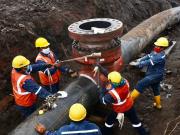 Trabajadores consiguen empleo pleno