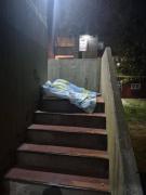 Festividad trágica en La Plata: qué se sabe del estallido de violencia que terminó en un crimen brutal