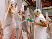 Exportaciones de carne: menos volumen y más dólares