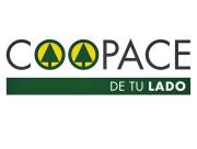Coopace convoca a socios habilitados a acto eleccionario este lunes 29 de 8.00 a 13.00 horas