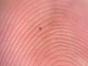 Científicos crearon los robots más pequeños del mundo: son más chicos que un grano de sal