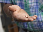 El día después en el barrio donde una bala perdida hirió a una nena en Navidad y las sospechas de los vecinos