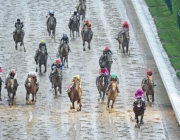 El Mes de las Rosas concluyó con cifras históricas y sorprendentes que pusieron a los venezolanos en la cima como nunca antes