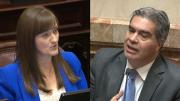 Presupuesto 2026: cruce en el Senado entre Schneider y Capitanich por el rumbo económico y el federalismo