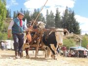 Esquel rural: historias que caminan el paisaje y experiencias para vivir la Patagonia secreta